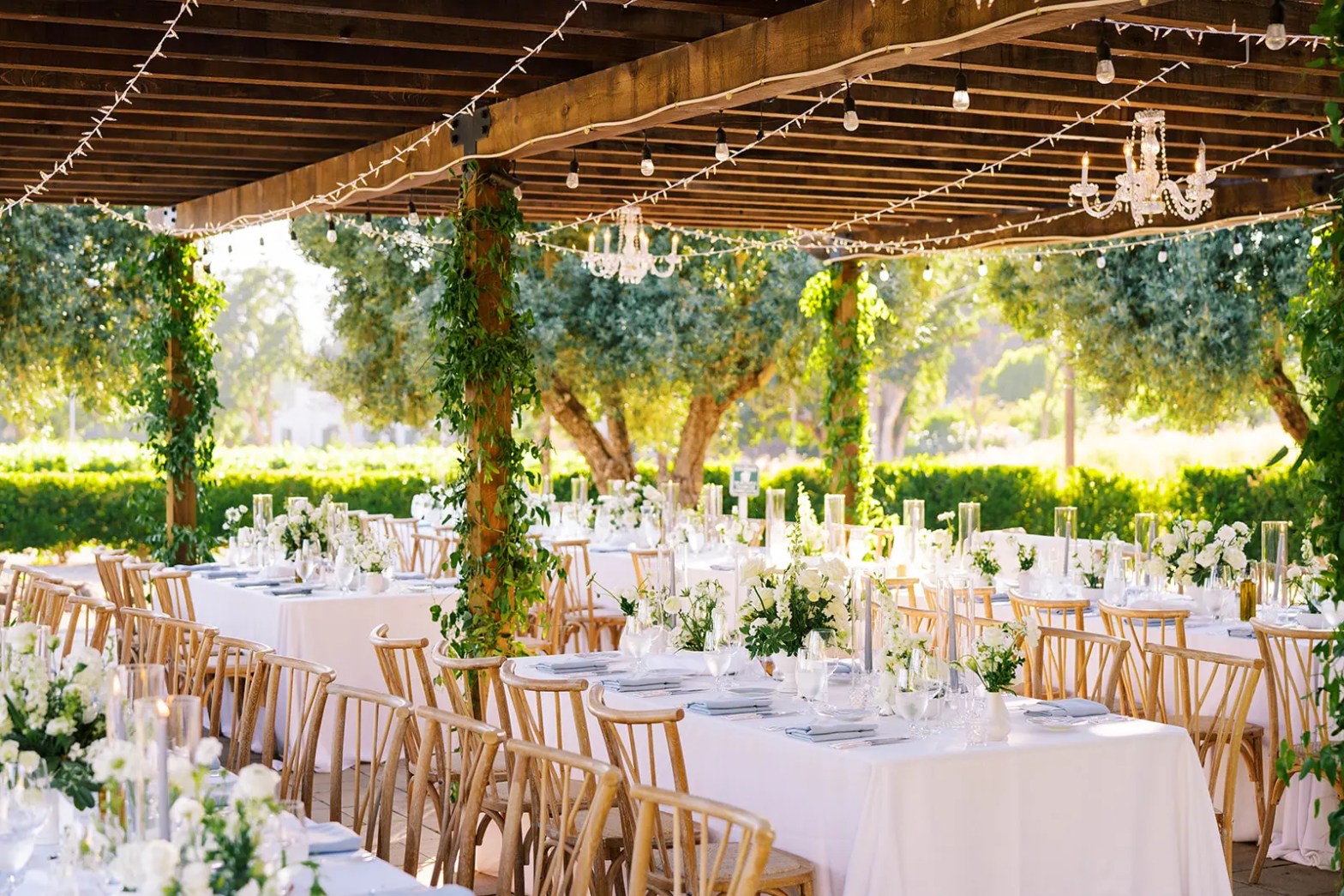 pergola light decor csj